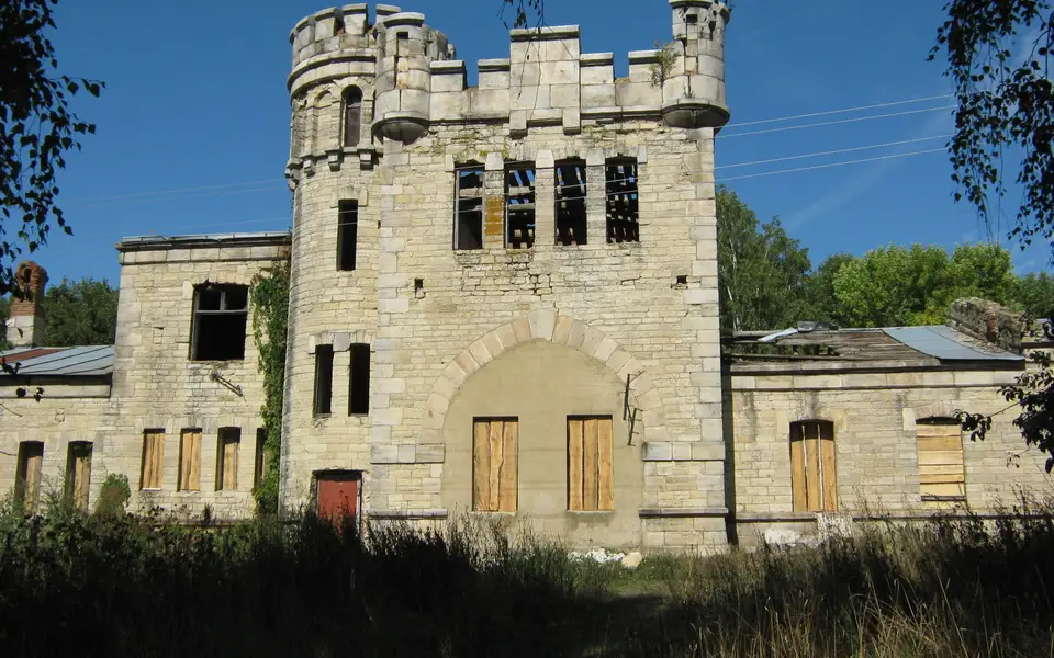 Замок в Борках до реставрации, 2009 год