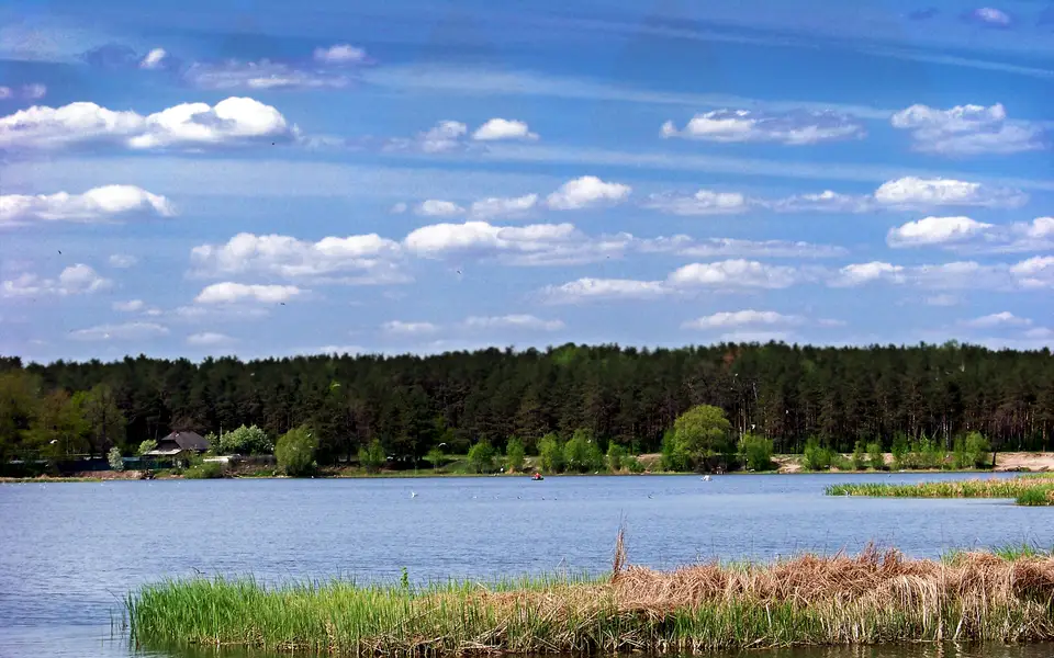 Берег Матырского водохранилища